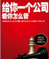 给你一个公司，看你怎么管