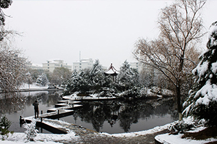 校园雪景