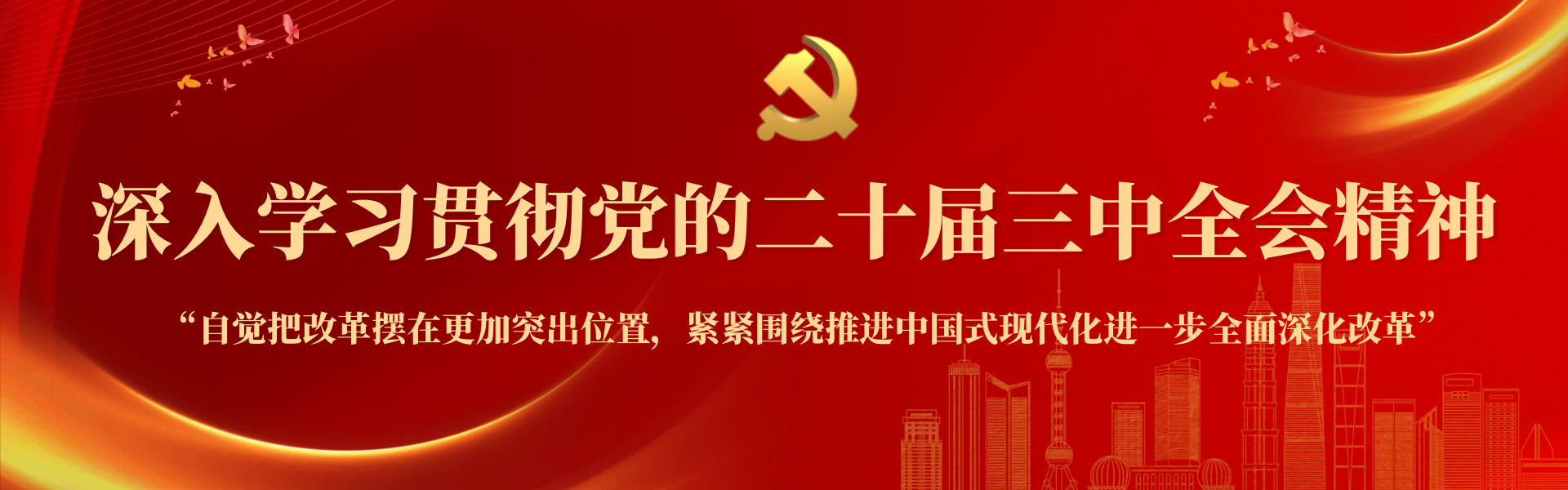 深入学习贯彻党的二十届三中全会精神