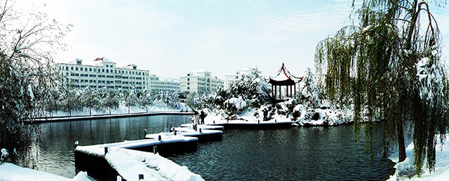 雪景